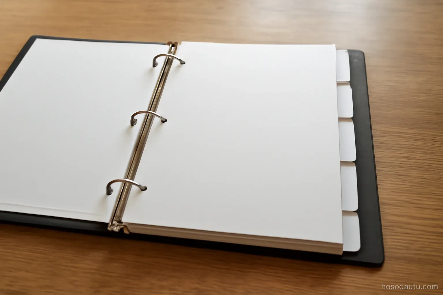 a tabbed binder open on a desk with dividers visible between sections, overhead view, tabs blank