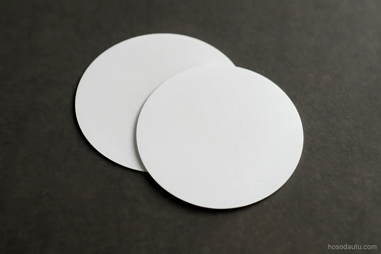 two overlapping paper circles cut from plain sheets lying on a dark desk, overhead view, no printing
